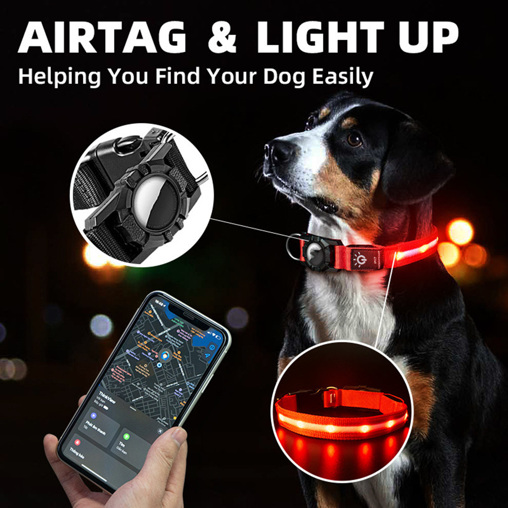 LED Safety Dog Collar with Locator Holder (USB Rechargeable)