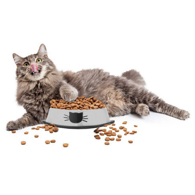 Stainless Steel Non-Slip Pet Bowl