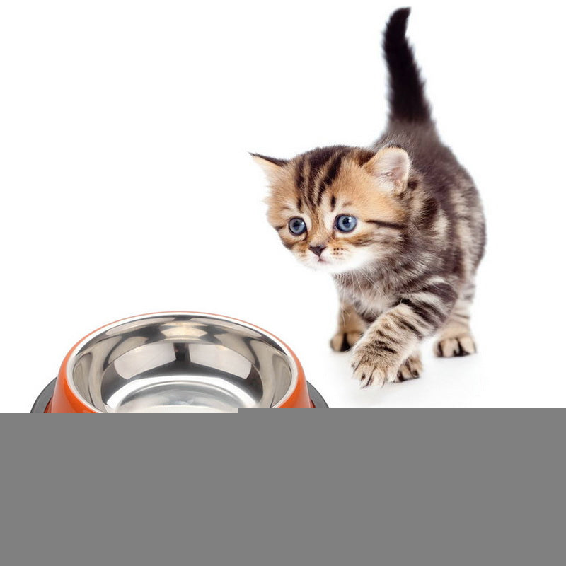 Stainless Steel Non-Slip Pet Bowl