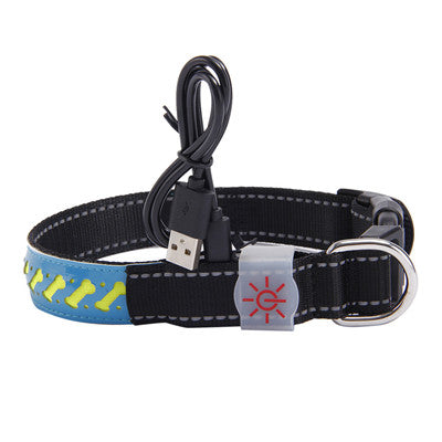 Rechargeable LED Dog Collar – USB Light-Up Safety Collar