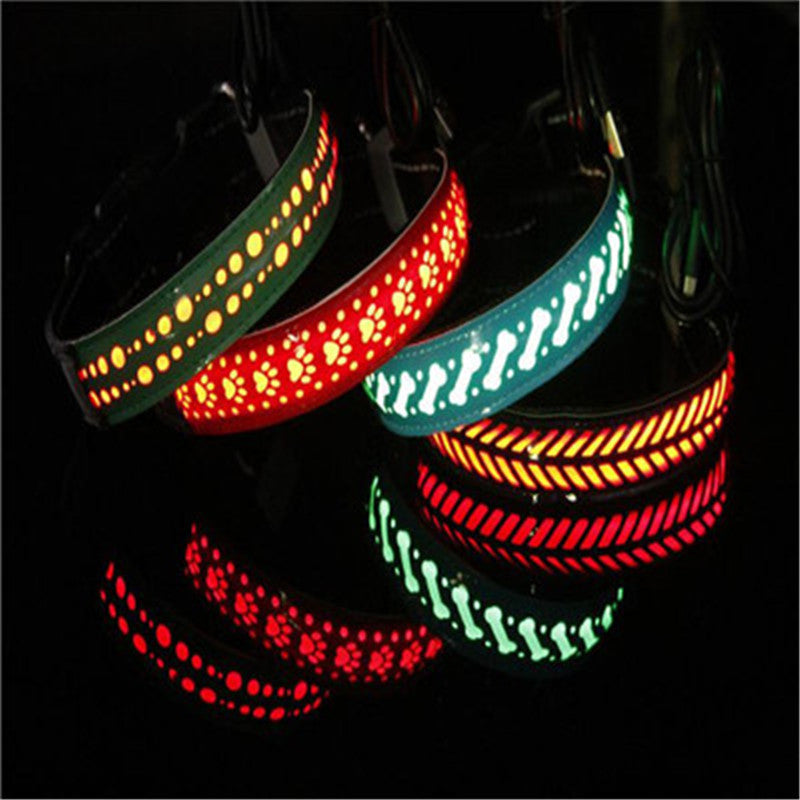 Rechargeable LED Dog Collar – USB Light-Up Safety Collar