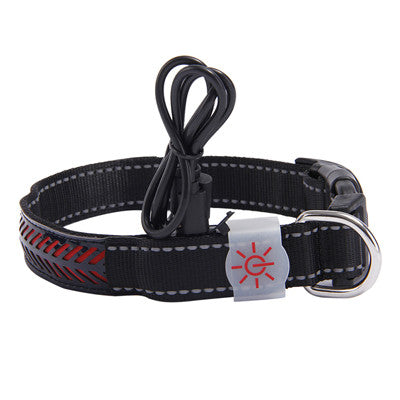 Rechargeable LED Dog Collar – USB Light-Up Safety Collar