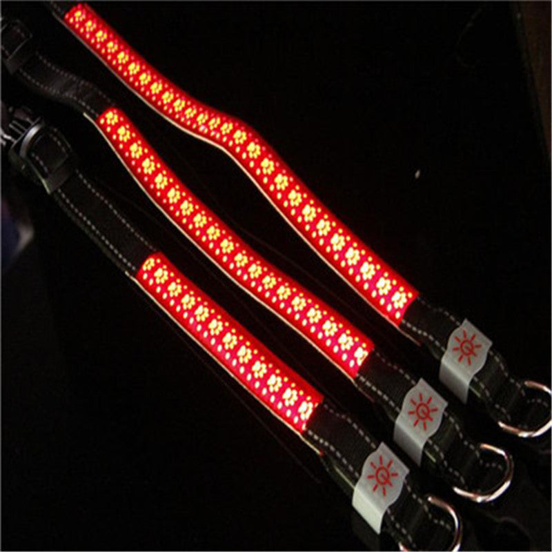 Rechargeable LED Dog Collar – USB Light-Up Safety Collar