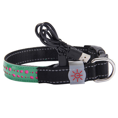 Rechargeable LED Dog Collar – USB Light-Up Safety Collar