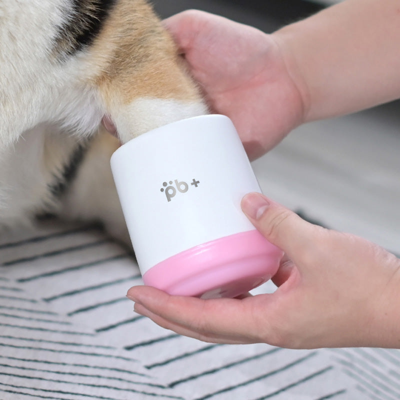 Dog paw being cleaned with a Pink Standard Paw Cleaner Cup