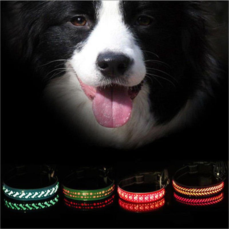 Rechargeable LED Dog Collar – USB Light-Up Safety Collar