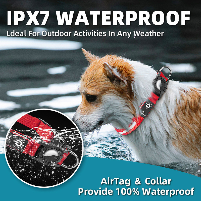 LED Safety Dog Collar with Locator Holder (USB Rechargeable)