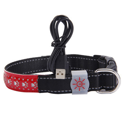 Rechargeable LED Dog Collar – USB Light-Up Safety Collar