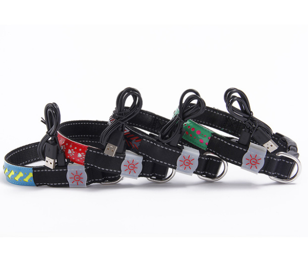 Rechargeable LED Dog Collar – USB Light-Up Safety Collar