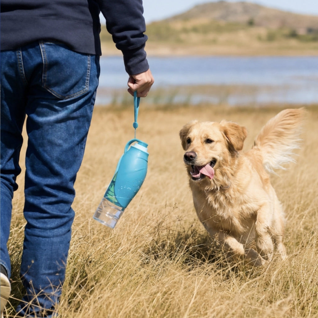 800ml Portable Pet Water Bottle with Foldable Bowl